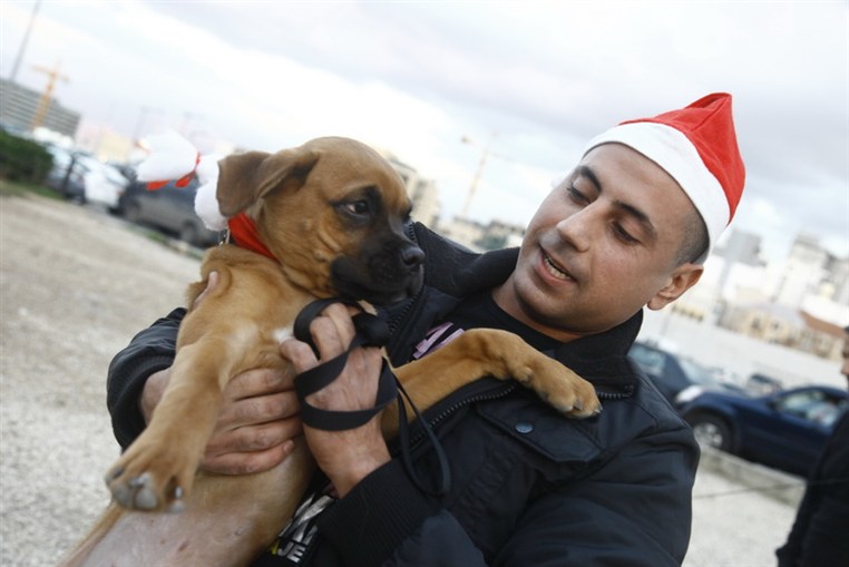 Fun Walk With Santa